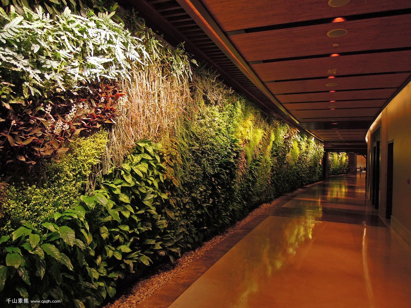 六款全球最棒的植物墙绿化案例值得收藏