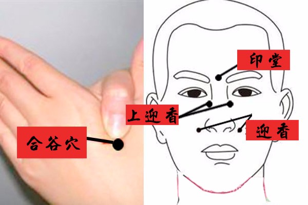 鼻子不通气艾灸哪里图片