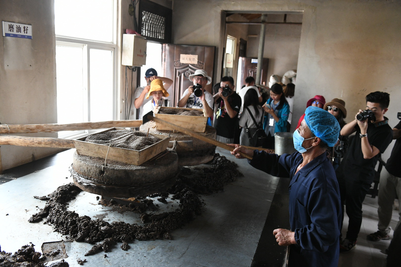 其實,開油坊,辦醋廠發展村集體經濟,並不是村委班子一念之間的衝動