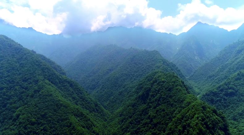 平武县位于四川盆地西北部,是长江上游重要的生态屏障,也是国家级重点