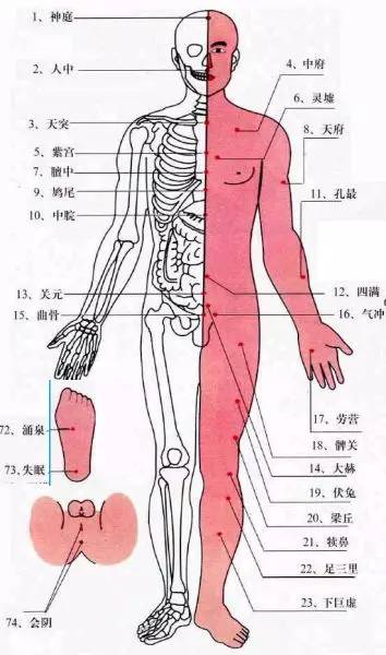 后背胃区疼痛位置图图片