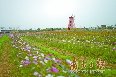 攝從觀音廟到南坑馬鞍山,從東江綠道到楊村村油菜花基地,博羅縣觀音閣