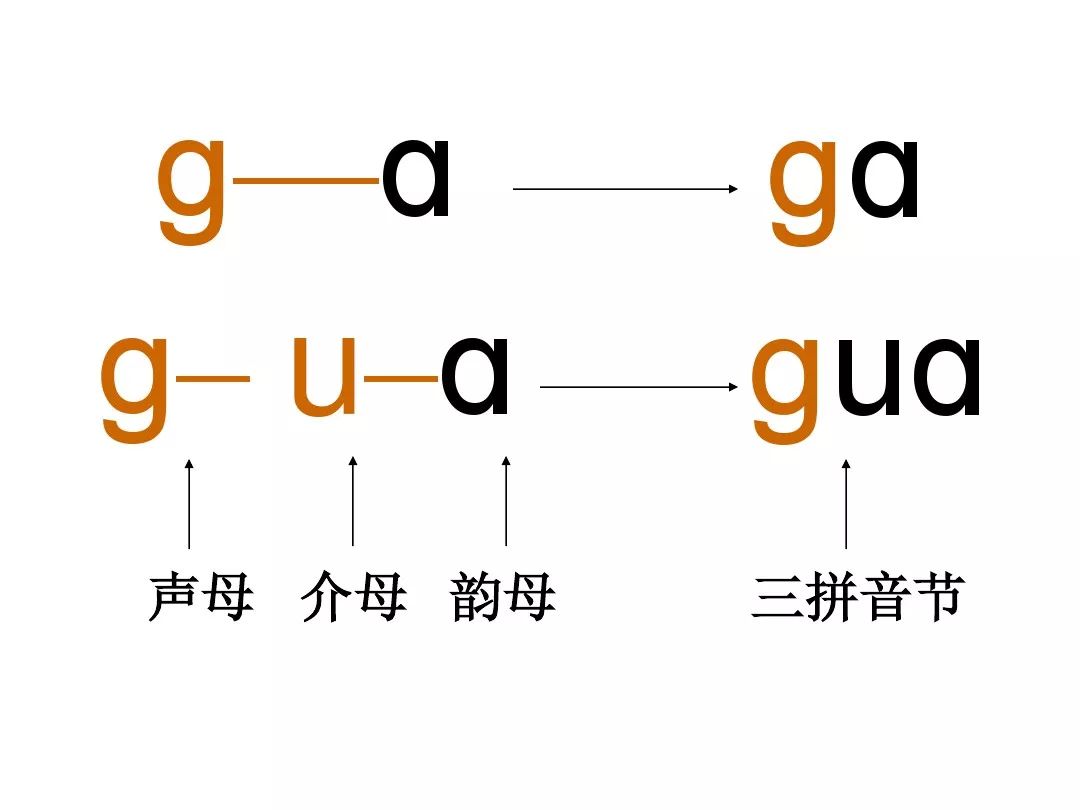 部编版一年语文上册拼音5《g k h》 朗读与预习