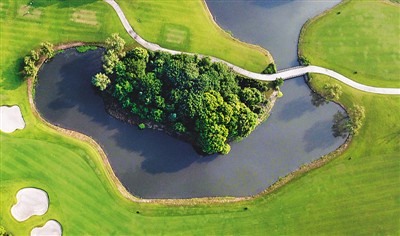 圖為揚州潤揚森林公園景色. 孟德龍攝(人民視覺) 返回搜