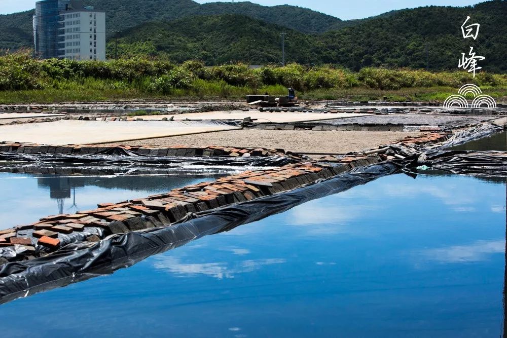 白峰外峙鹽場寧波最後一塊鹽田