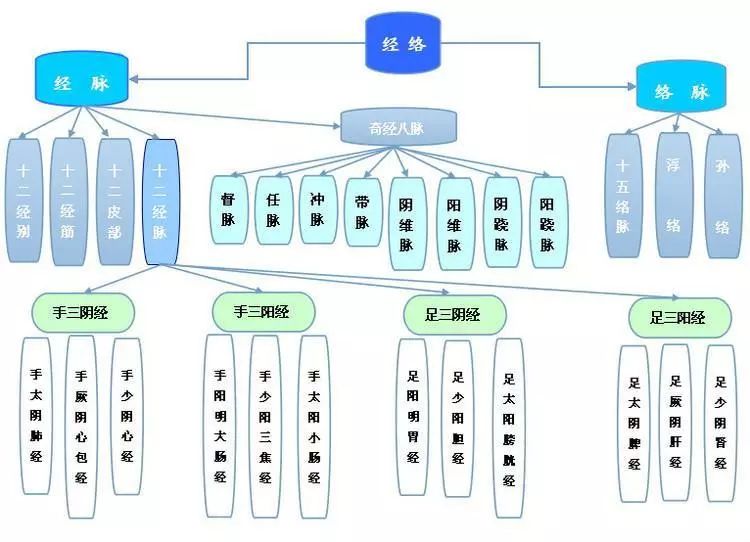 十二經絡動態走向圖必須收藏