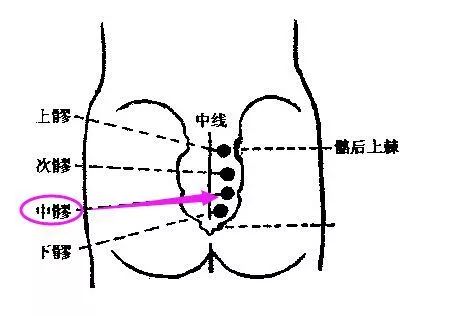 中髎穴疏導水液健脾除溼