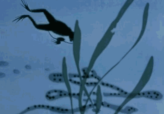 兰台特色课之水墨动画58年后再赏小蝌蚪找妈妈之美