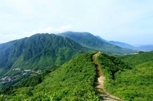 修水黃龍山下驚現一群梅花鹿._功效