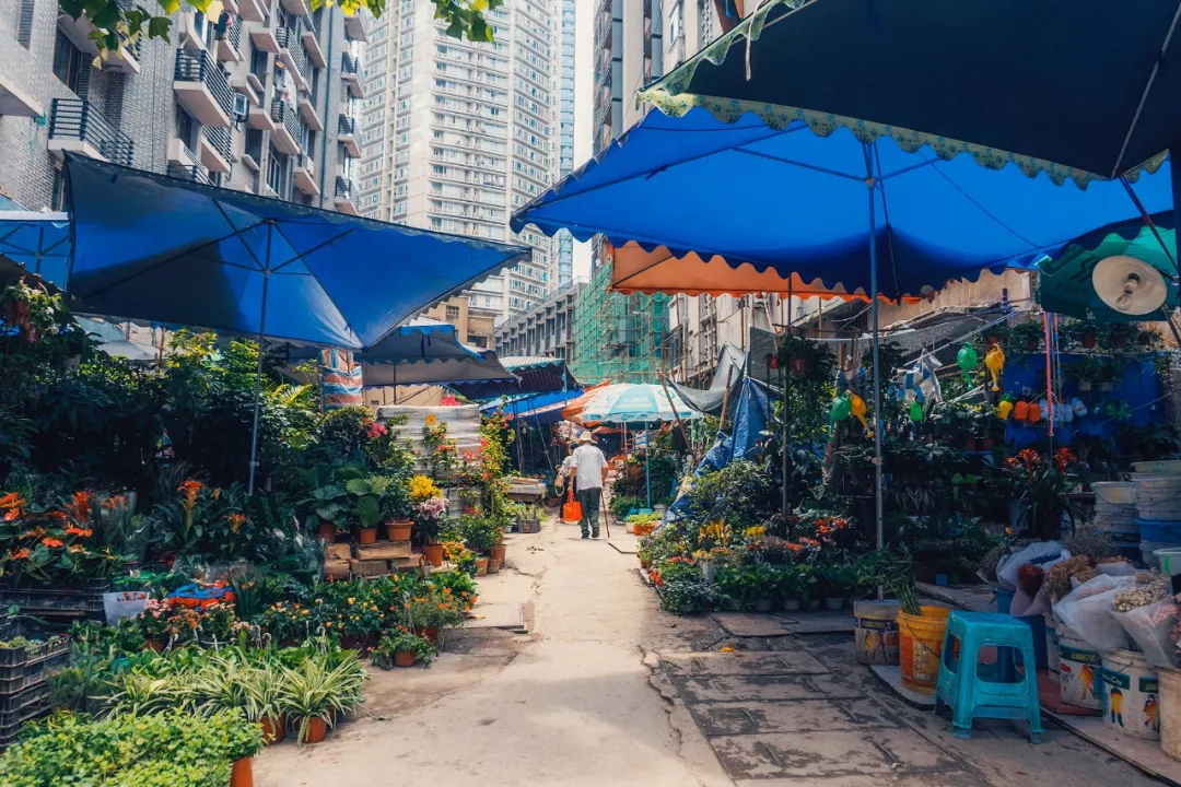 在重慶老城,勸你好生走路