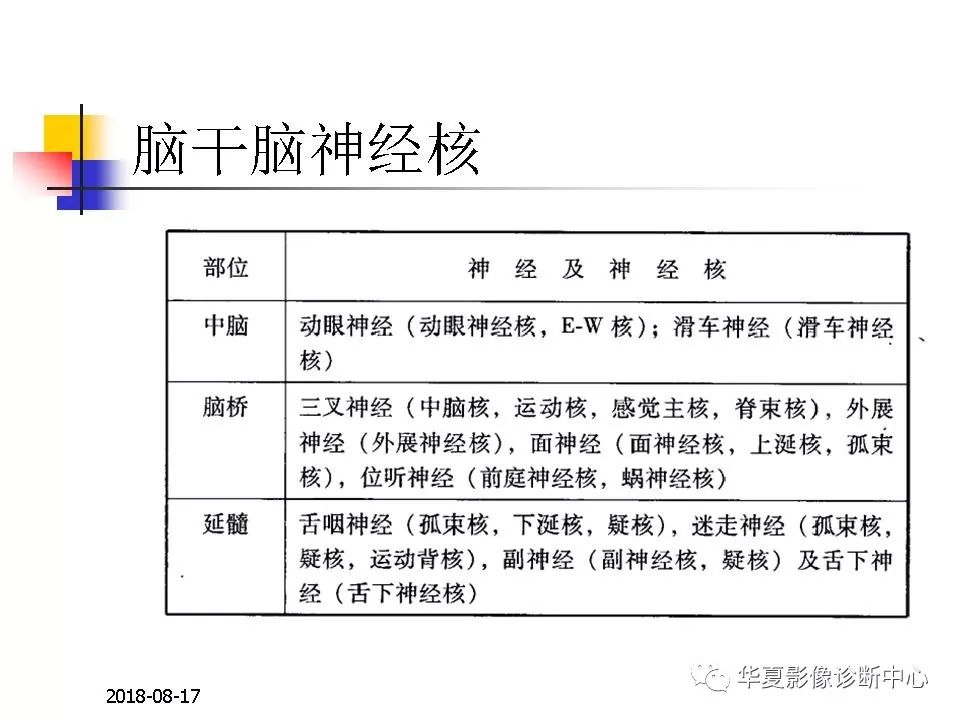 腦幹的解剖與臨床綜合徵