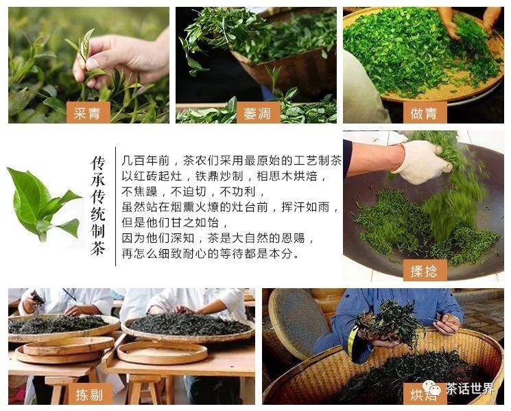 黄茶的制作工艺流程图片