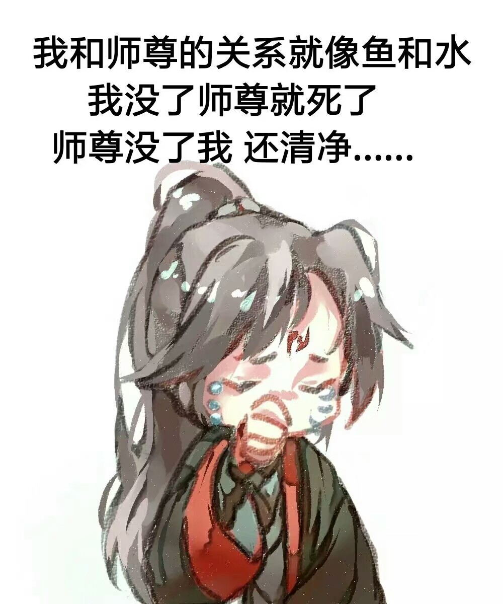 魔道祖師魏無羨號夷陵老祖花城號血雨探花冰妹號啕大哭