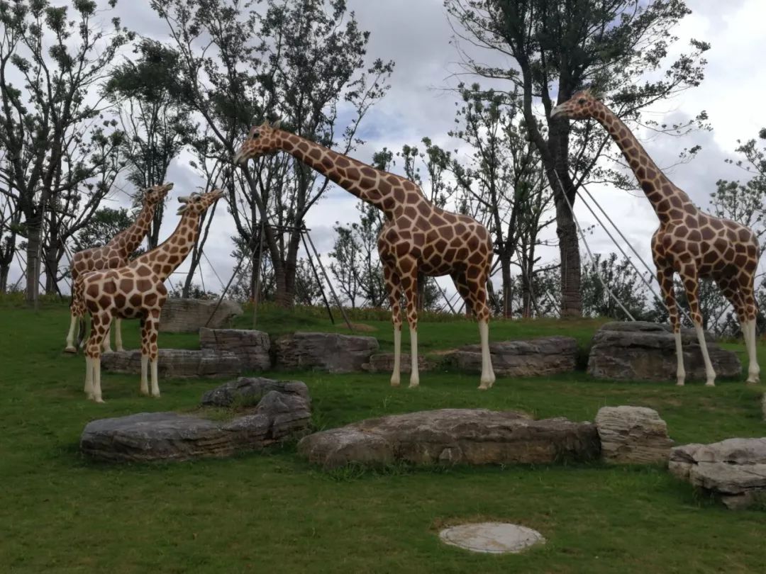 南通森林野生動物園票價太貴園方回應來了