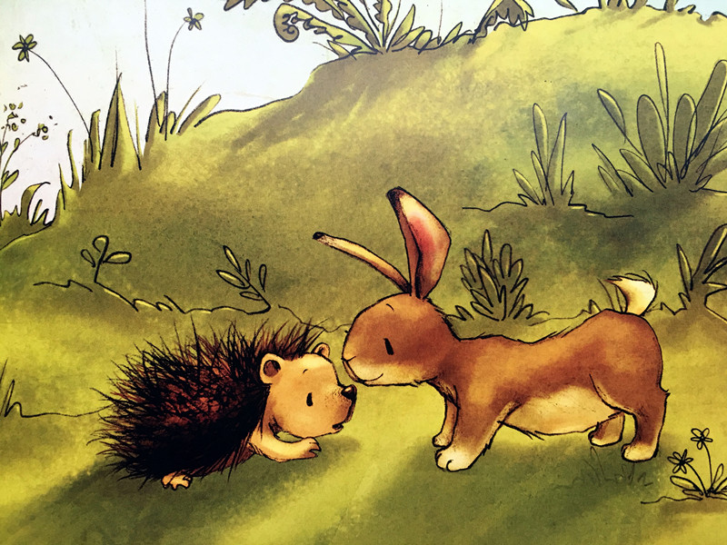 故事的主角是一只小刺猬和一只小兔子,在一个温暖的春天的早晨,他们俩