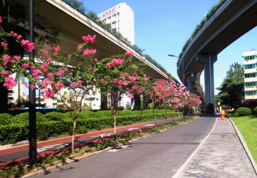 实景图走一波~_康桥路