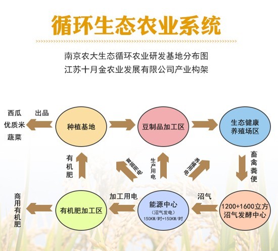 采取"大豆一生猪一沼肥(已发电)一粮食一水产"的循环农业产业链来进行