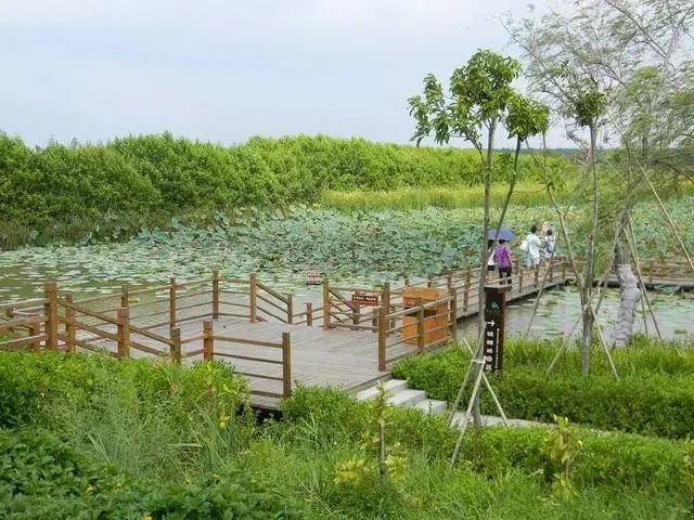 萬頃沙原野莊園,佔地600多畝,她坐落於風景如畫的萬頃沙鎮十二湧.