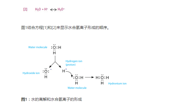 水质检测仪的ph值是氢离子浓度还是活度?