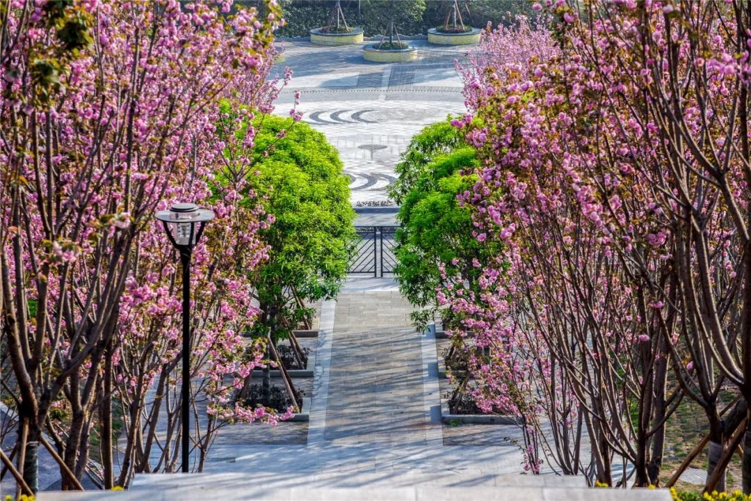 2017艾景獎作品賞析年度十佳重慶市九龍坡區半山公園二期景觀工程