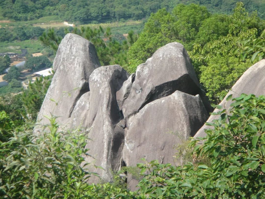 漳浦仙峰岩图片