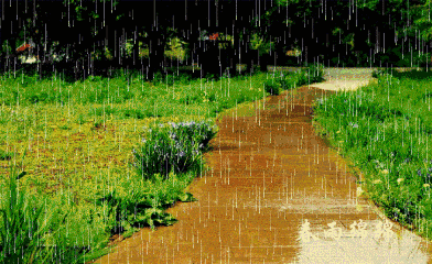 大雨的图片 动态图图片