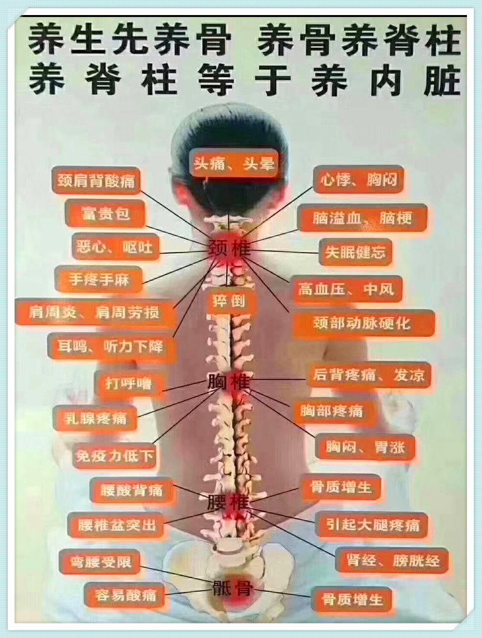 筋骨养护宣传图片图片