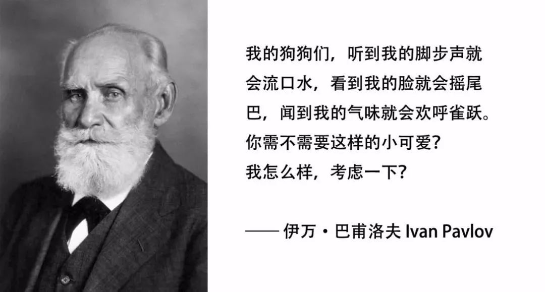 巴甫洛夫和他的狗狗用实验证明了"经典条件反射理论(classical