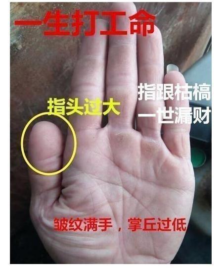 男人大拇指像蛇头手相图片