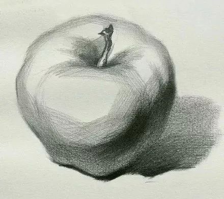 素描苹果新手怎么画图片