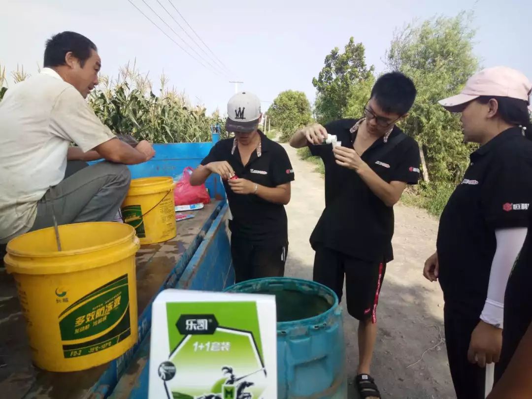 番茄用乐凯03 菜农乐开怀_肖大叔