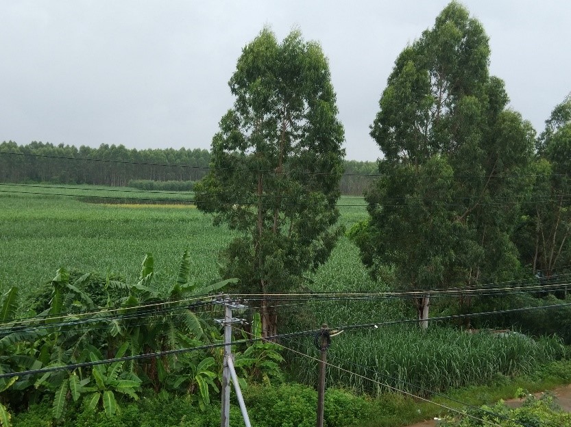 还没来得及收拾行李,志愿者们就来到了楼顶观望南夏村独特的田园美景.