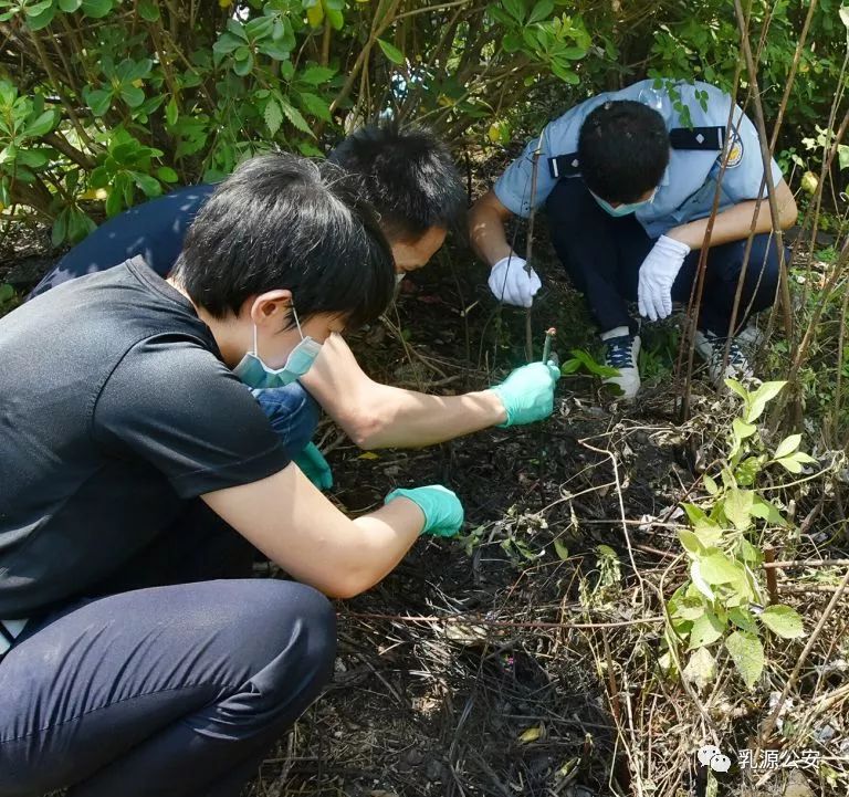 高速公路抛尸案图片