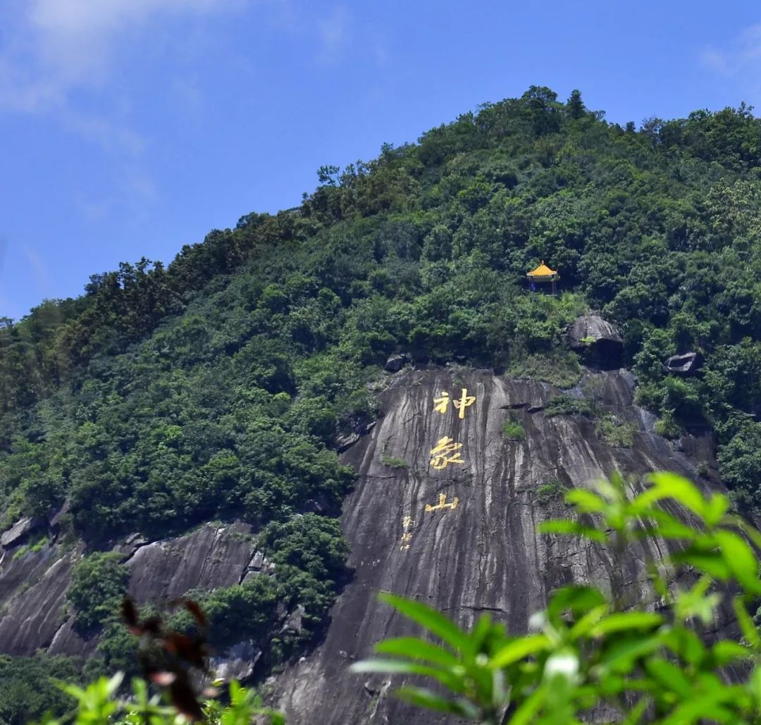 陸河南萬神象山驚現人臉石