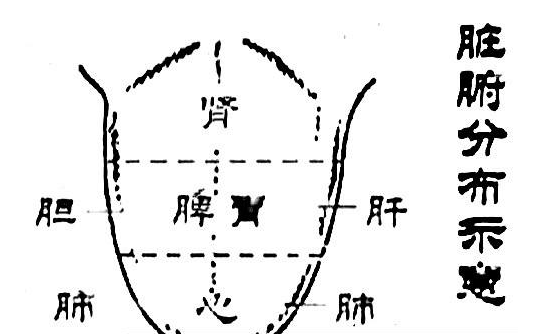 看舌頭知胃病老中醫教給你私藏絕學讓你遠離胃病