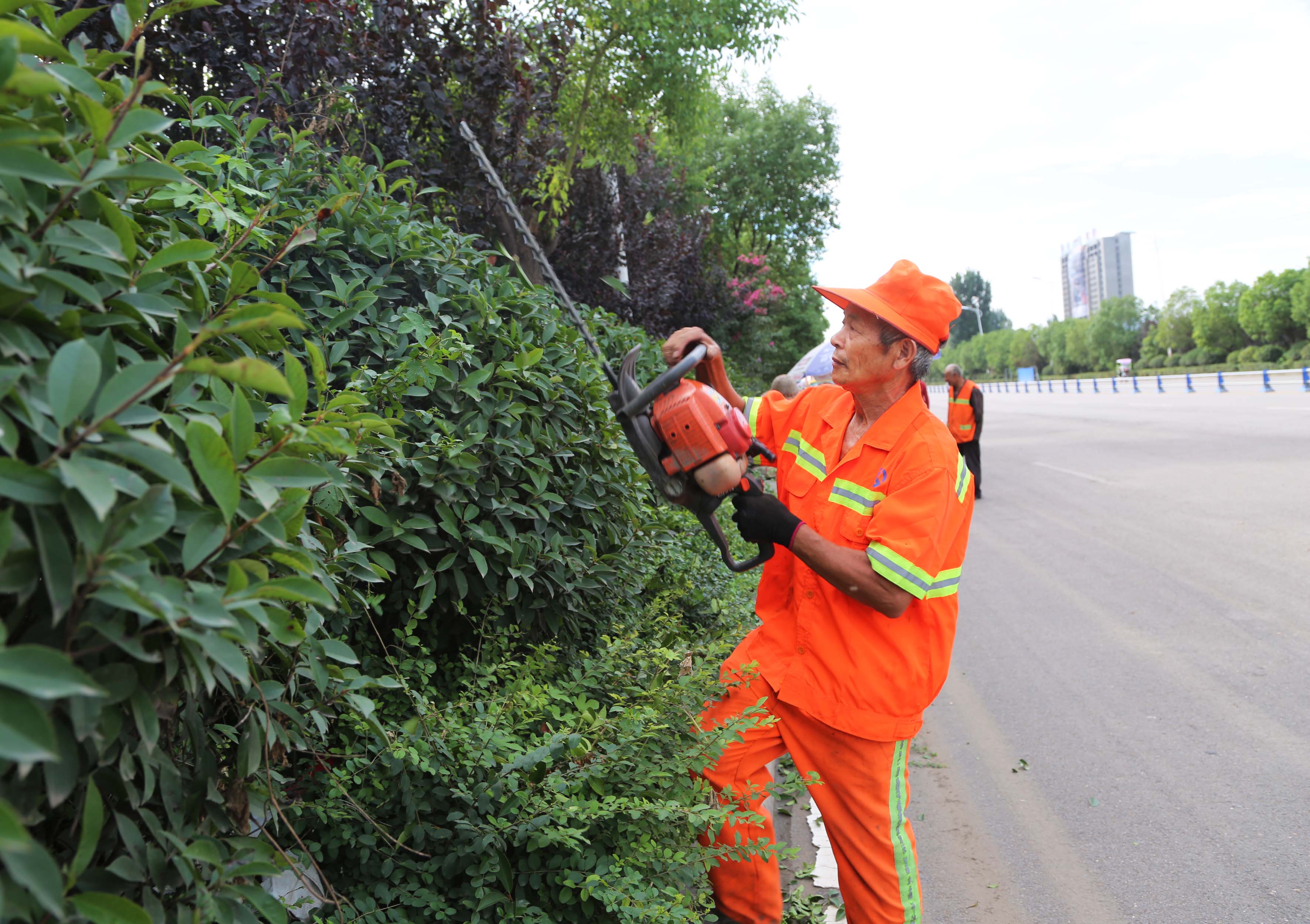 公路部门多措并举助力汽车拉力赛 标新线 保清洁,绿化养护