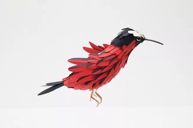 纸雕艺术美丽的纸鸟