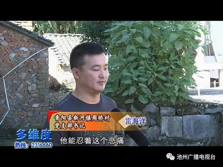 【青阳县新河镇周桥村党支部书记 雷海洋】