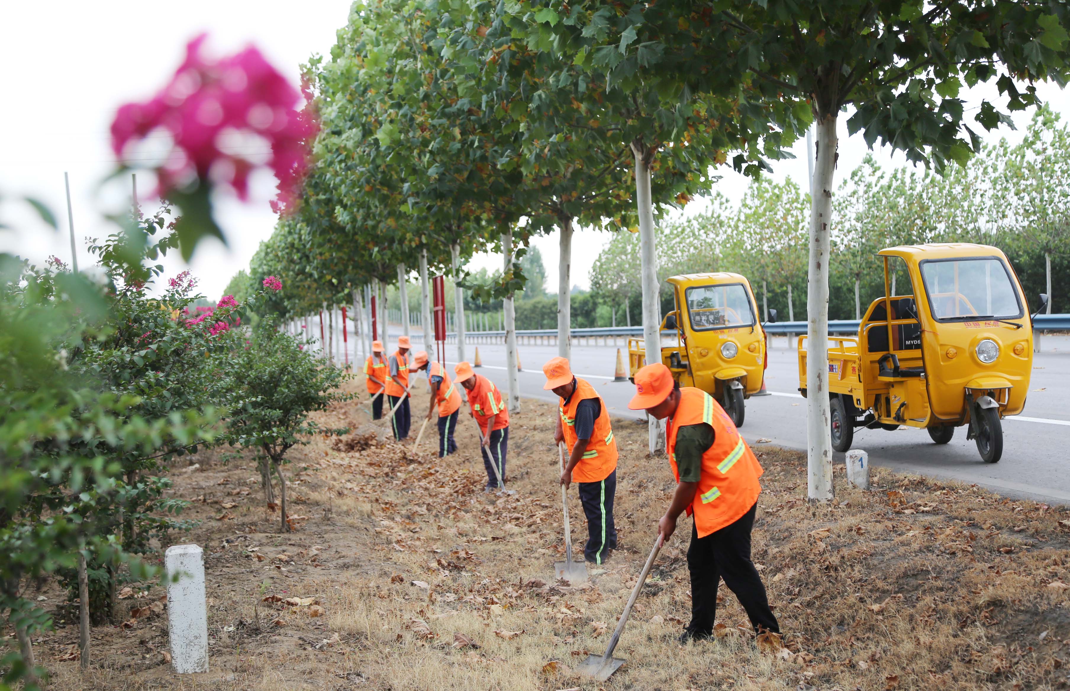 公路部门多措并举助力汽车拉力赛 标新线 保清洁,绿化养护