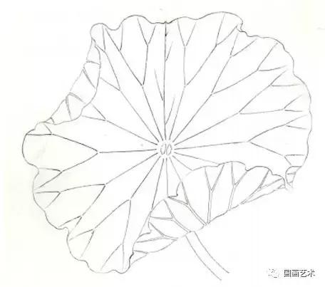 工笔荷叶的各种画法图文详解,工笔画荷花步骤,工笔荷花染色教程