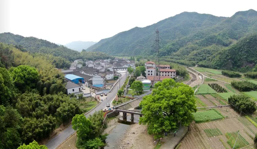 1845年,王化人宋周瑞开办瑞泰茶栈,制作平水珠茶,远销欧美,最盛时期"