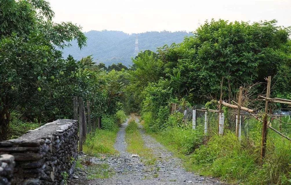 休閒,旅遊的一種新型農業生產經營形態,也是深度開發農業資源潛力