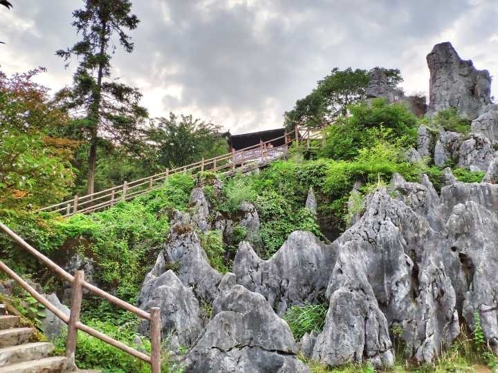 天然大盆景"华蓥山石林!