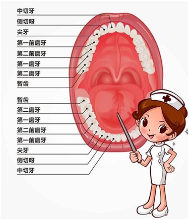 刷牙!方法不對,小心牙齒被刷斷!_口腔