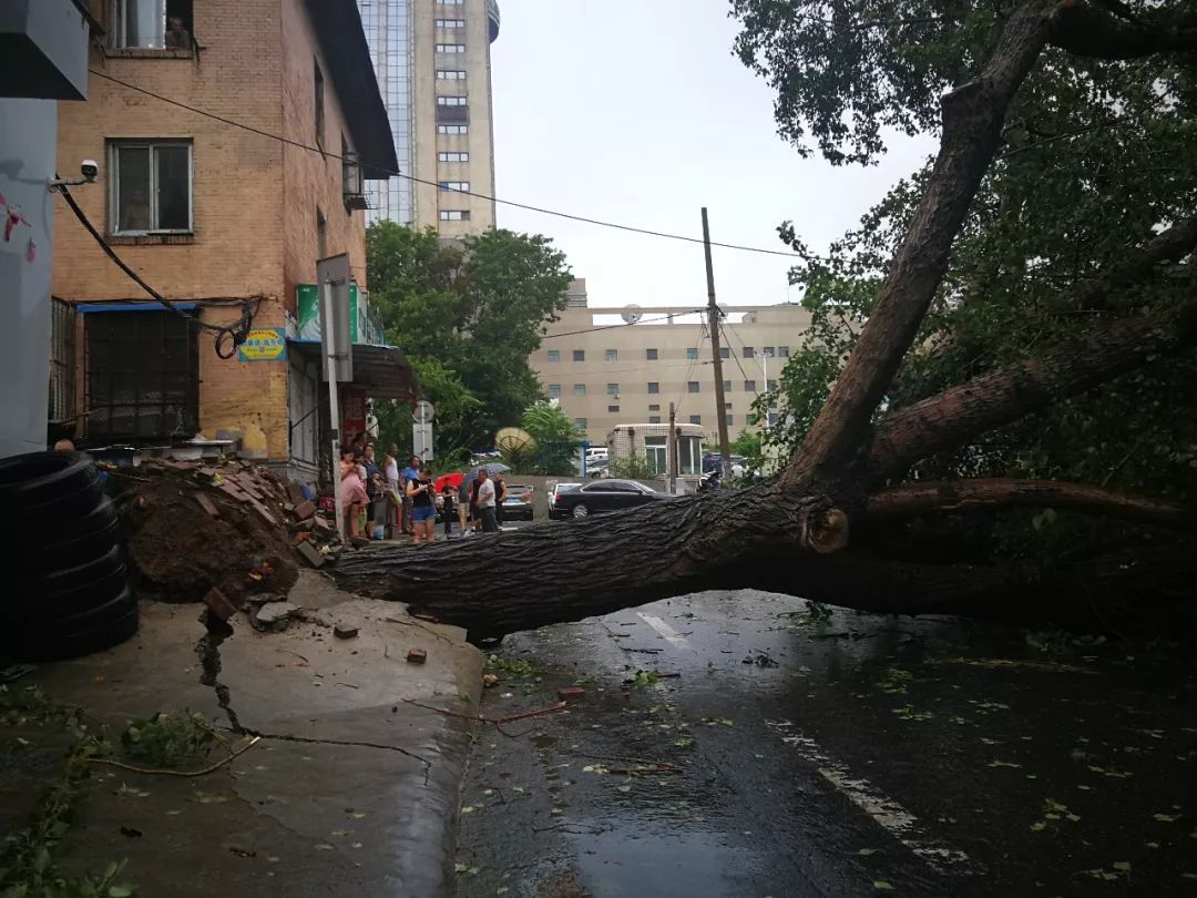 颱風溫比亞突襲大連不用出門我來告訴你關於這場暴雨的一切