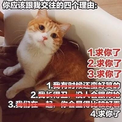 撩對象表情包貓咪版本做我的女人保證你做夢都笑醒