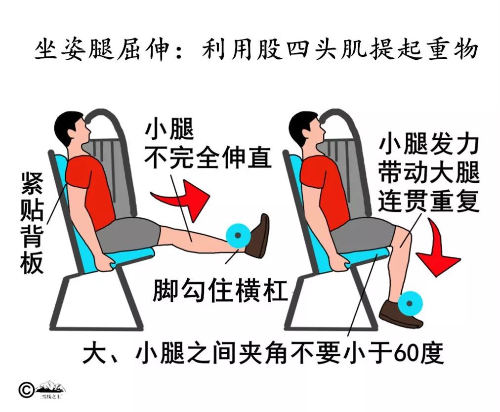 坐姿腿屈伸几乎只用到了股四头肌的力量
