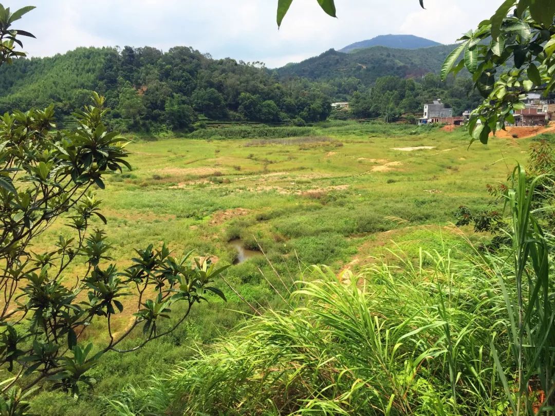 饶平县马山湖水库图片