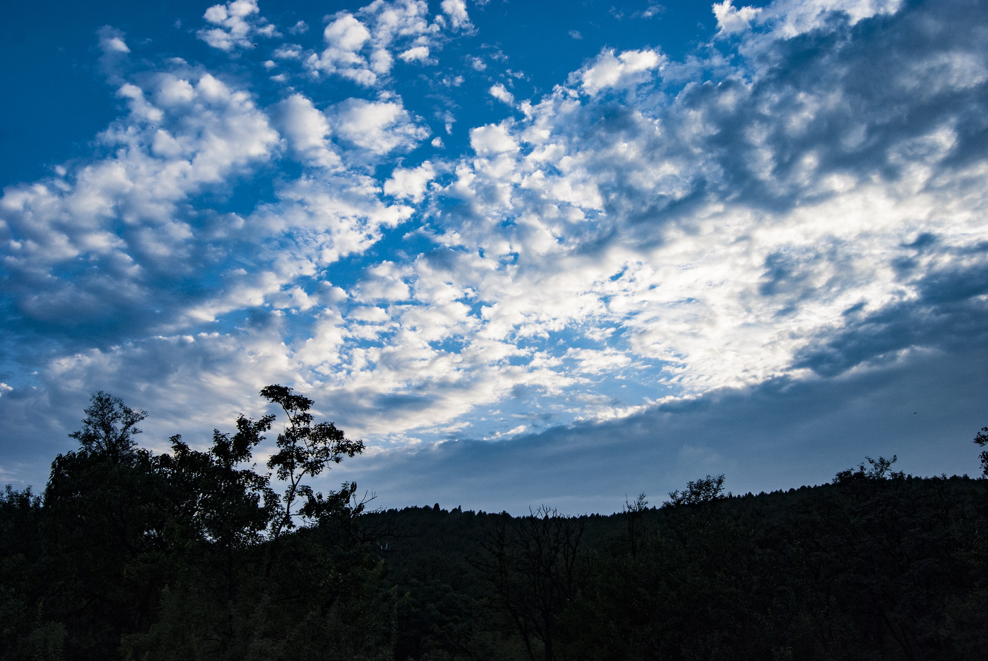 雨後在徐州泉山森林公園散步,呼吸著山林的清新空氣,這裡就是大氧吧