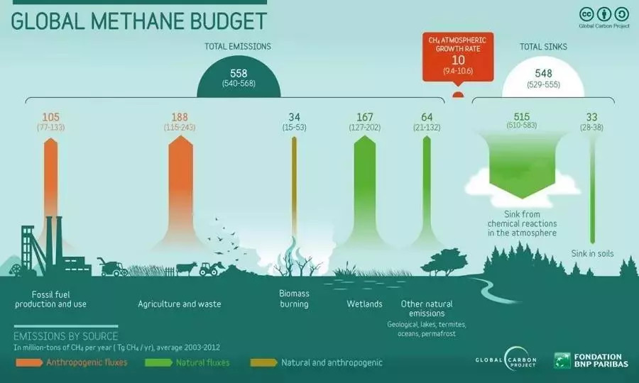 全球甲烷排放量统计(来源:global carbon project)非常黑色幽默一点的